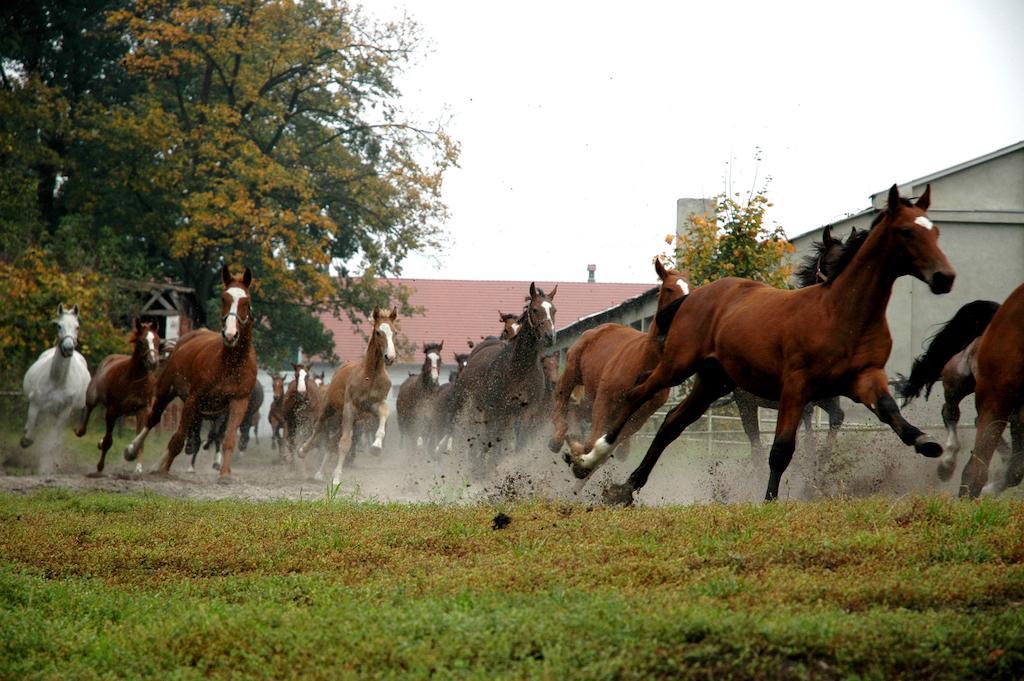 Palac Racot Kościan Exteriör bild
